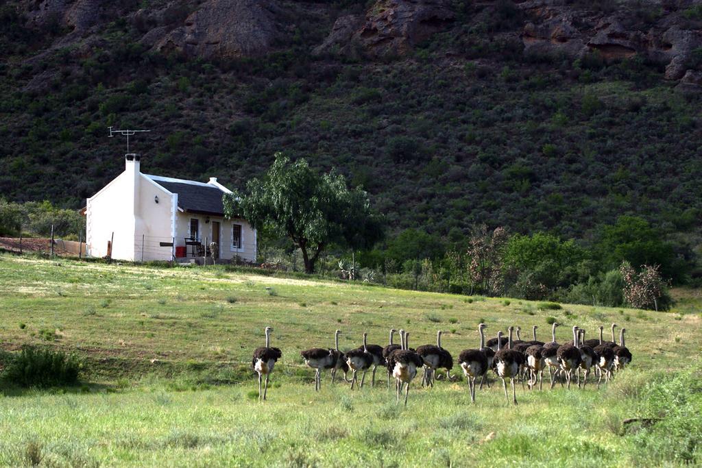 Buffelskloof Red Stone Hillsヴィラ エクステリア 写真